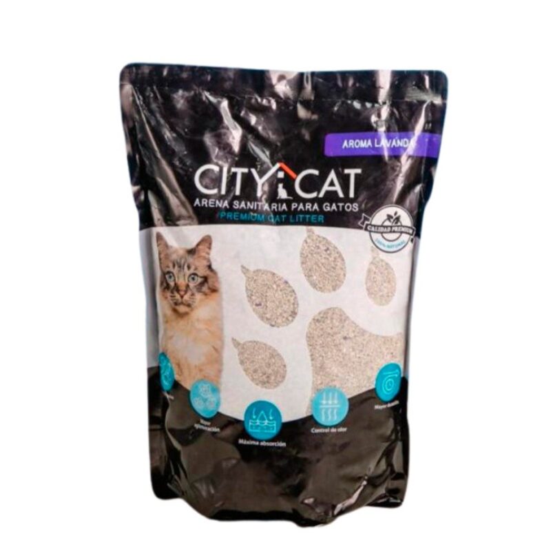 Arena City Cat